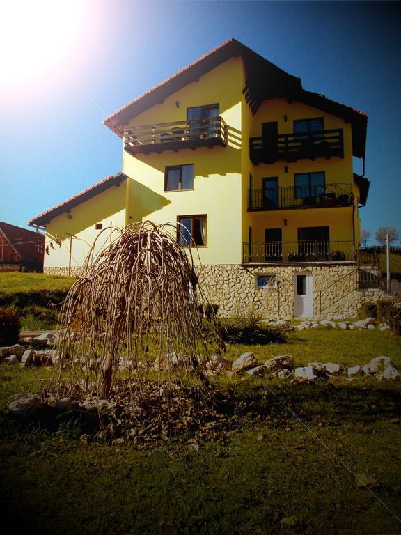 Casa Olteanu Pension Moieciu de Jos Exteriör bild