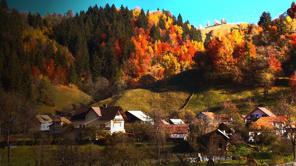 Casa Olteanu Pension Moieciu de Jos Exteriör bild